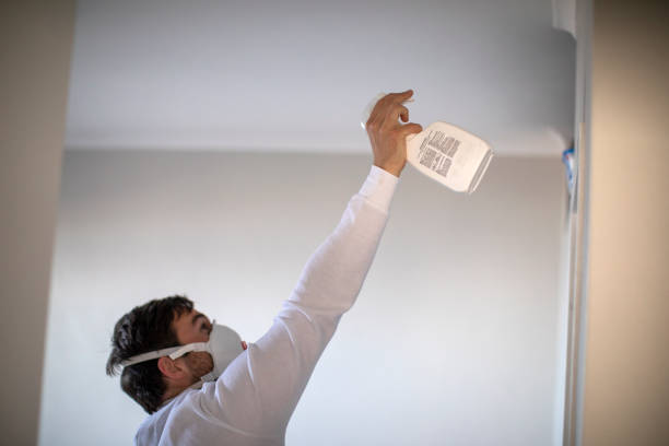 Best Water Damage Restoration  in Southwest Greensburg, PA